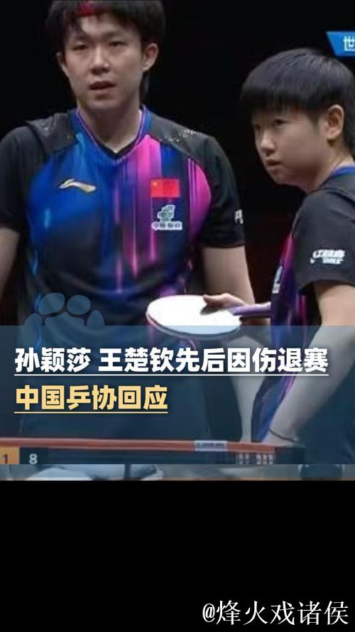 孙颖莎王楚钦伤退没有一片雪花是无辜的,乒乓商业化陷入两难困局 孙颖莎王楚钦伤退没有一片雪花是无辜的,乒乓商业化陷入两难困局
